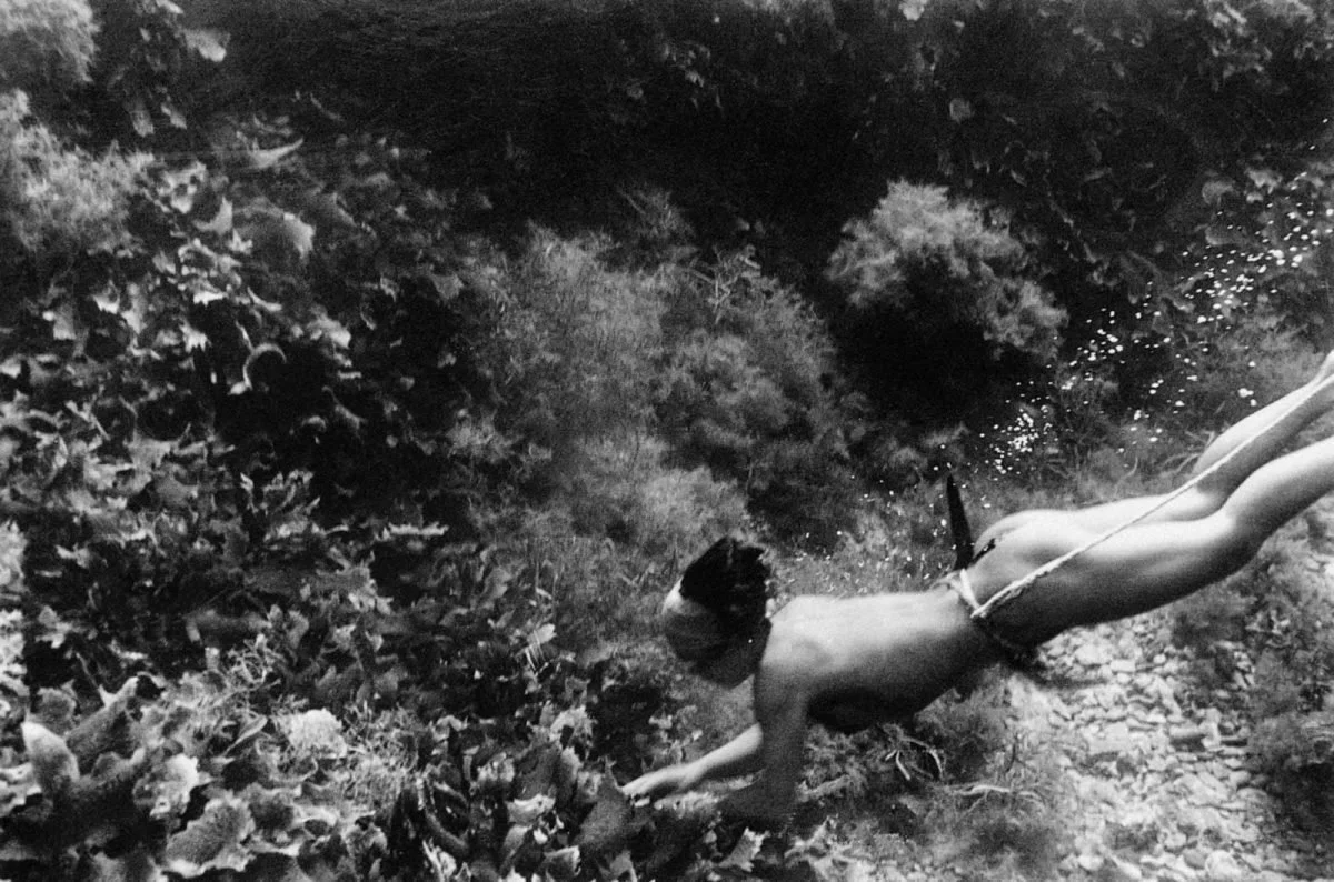 An Ama diver gliding above the seabed in search of shellfish
